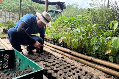 Proyecto ambiental apuesta por recuperar bosques y páramos en Santander