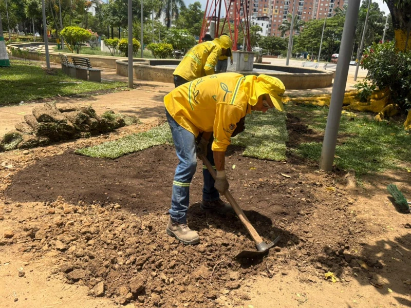 ¡Bucaramanga florece! Transforman el Parque de Las Cigarras con 3.500 nuevas plantas