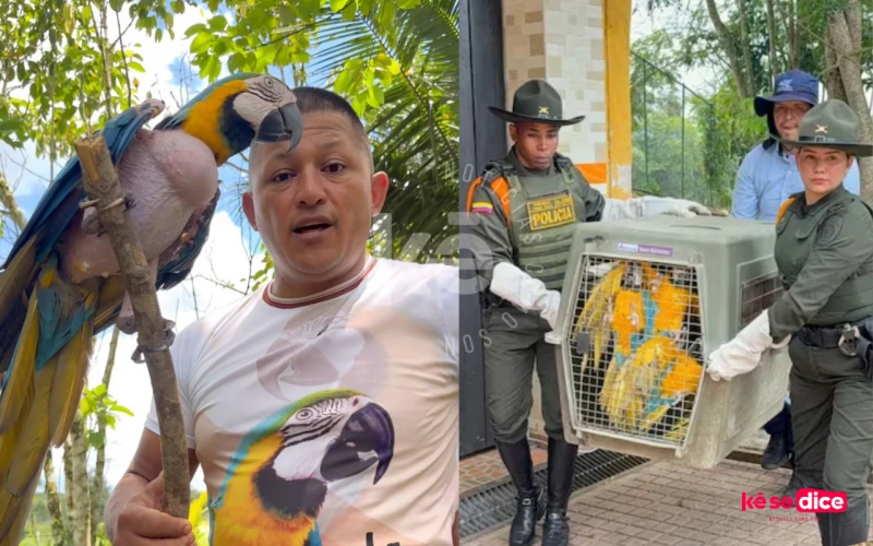 Influencer con un millón de seguidores fue enviado a la cárcel por presunto maltrato animal