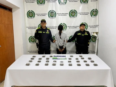 Capturan a una mujer en el Mesón de los Búcaros con más de 500 gramos de marihuana