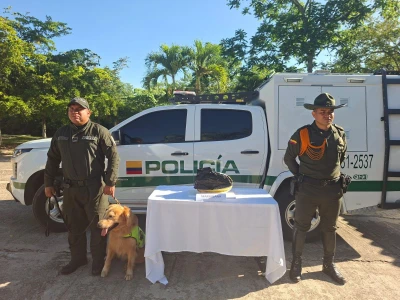 Canino antinarcóticos descubrió tres kilos de marihuana en Bucaramanga
