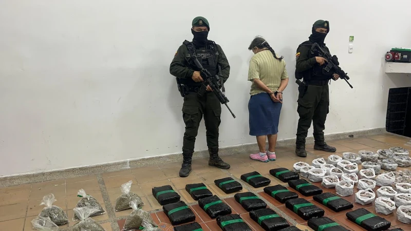 Alias “La Abuela” cayó en norte de Bucaramanga custodiando más de 10 mil dosis de marihuana