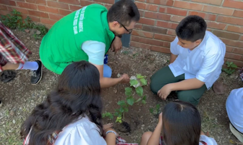 446 nuevas plantas hacen florecer parques, colegios y veredas de Floridablanca