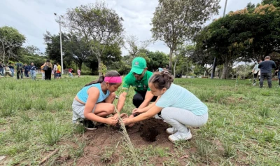 150 árboles y decenas de niños unidos por una Bucaramanga más verde