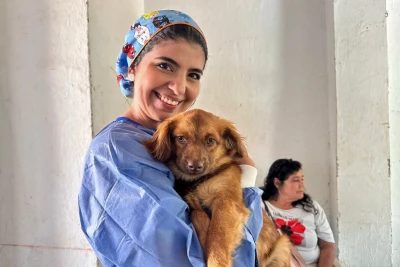 Esterilizaciones y atención veterinaria gratuita llegan a decenas de municipios de Santander