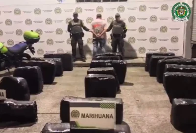 Incautan más de media tonelada de marihuana que iba a ser distribuida en Bucaramanga