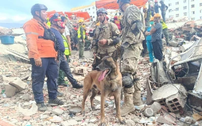 La historia de 'Bart', el perro argentino que salvó la vida de dos niños tras el terremoto de Venezuela