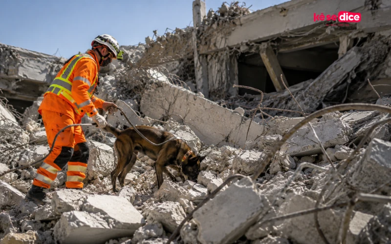 Cuántas víctimas dejó el doble terremoto de Venezuela: balance oficial de muertos, heridos y damnificados