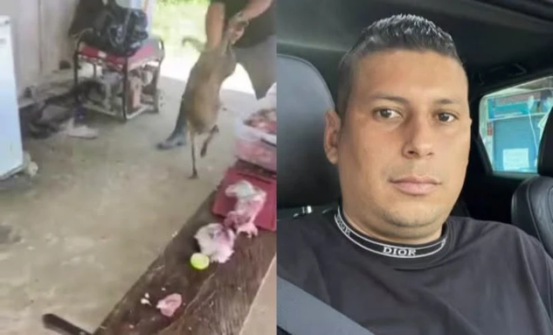 Condenan a 20 meses de cárcel a hombre que golpeó brutalmente a su perro por comerse un pedazo de carne