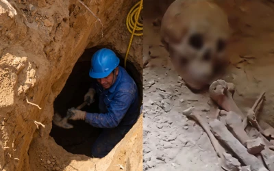 Hallan restos óseos de dos personas durante excavaciones de gasoducto en Piedecuesta