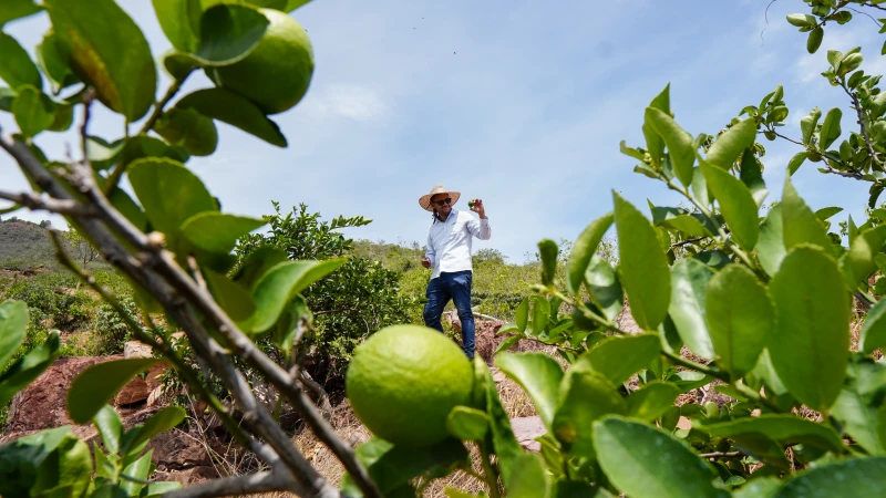 Ke se dice -  _DSC4435