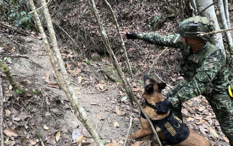Con ayuda del FBI, Ejército halló más de 250 kilos de explosivos a pocos kilómetros de Bucaramanga