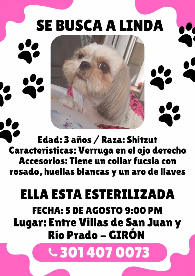 Ke se dice -  image-1742078433709642