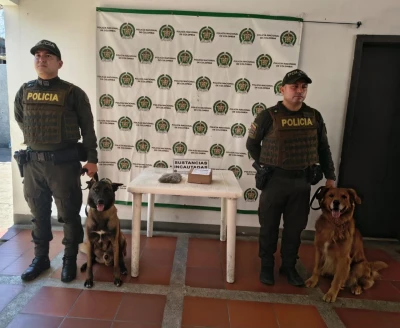 ‘Yordi’, canino antinarcóticos, puso al descubierto una encomienda con marihuana en Santander