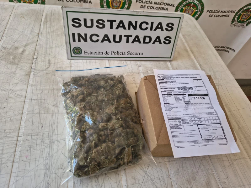 ‘Yordi’, canino antinarcóticos, puso al descubierto una encomienda con marihuana en Santander