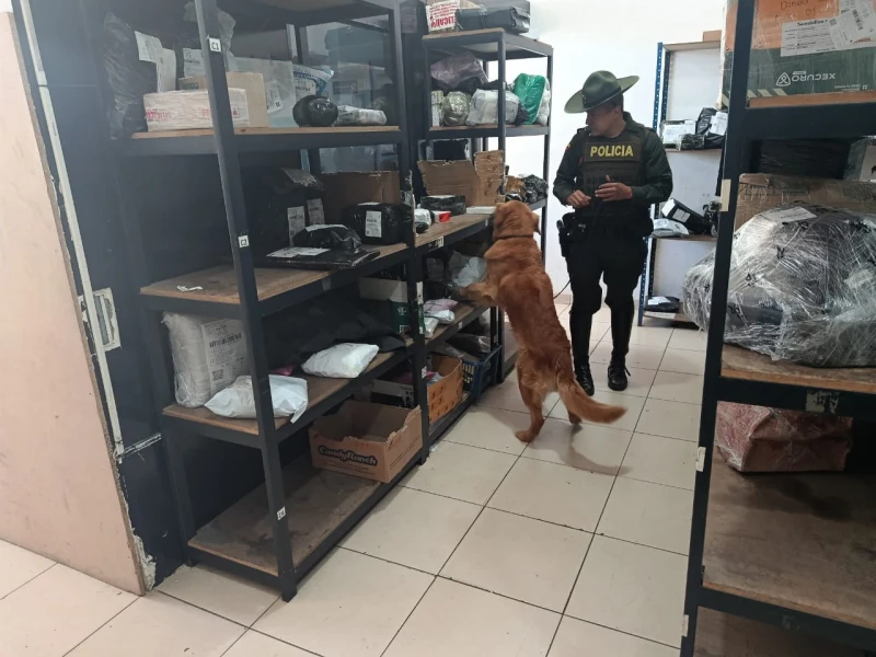 ‘Yordi’, canino antinarcóticos, puso al descubierto una encomienda con marihuana en Santander
