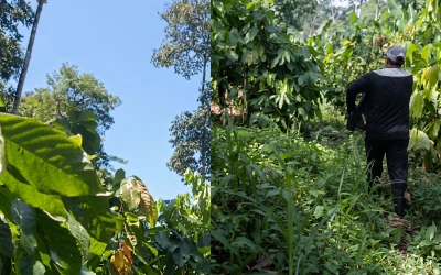 Aterrador video de campesinos huyendo de un ataque de drones del Eln en el Catatumbo