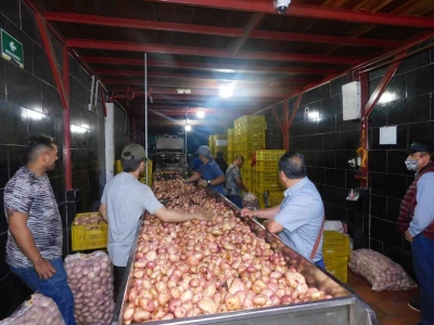 Sequía dispara hasta en un 133% los precios de frutas y verduras en Centroabastos de Bucaramanga