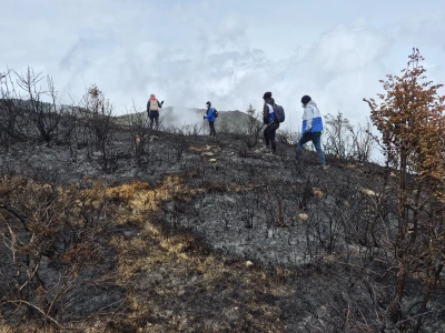 CDMB evalúa daños tras incendio que afectó frailejones y cerca de 30 hectáreas en Tona