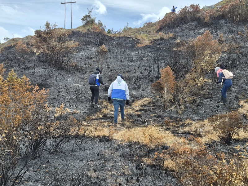 CDMB evalúa daños tras incendio que afectó frailejones y cerca de 30 hectáreas en Tona