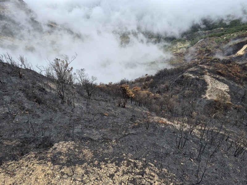 CDMB evalúa daños tras incendio que afectó frailejones y cerca de 30 hectáreas en Tona