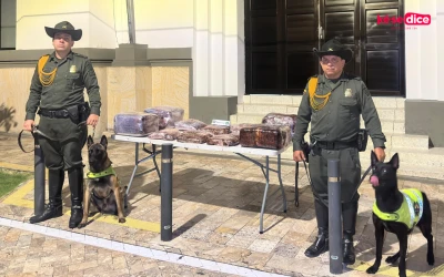 Perro antinarcóticos olfateó cargamento con 60 kilos de marihuana en la vía Girón–Bucaramanga