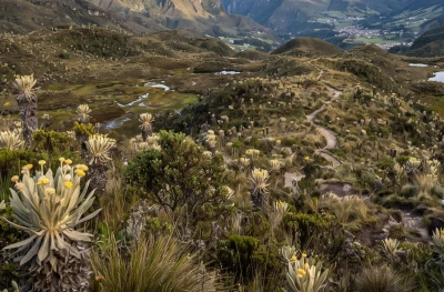 MinAmbiente revoca prórroga de reserva en Santurbán y deja vigente plazo hasta marzo de 2027