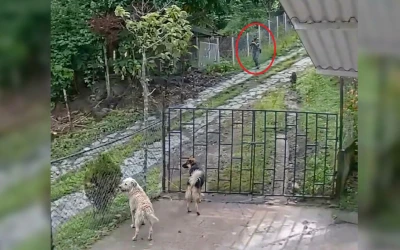 Mató a un perrito a tiros y luego lo arrastró por una disputa con un vecino, en Santander