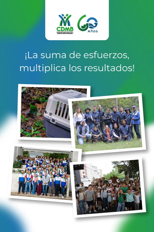 LA SUMA DE ESFUERZOS, MULTIPLICA LOS RESULTADOS