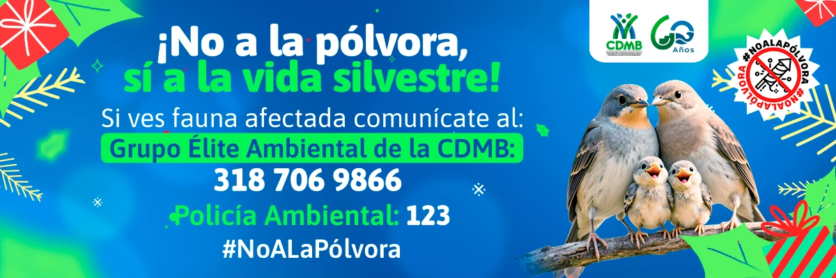 ¡NO A LA PÓLVORA, SÍ A LA VIDA SILVESTRE!