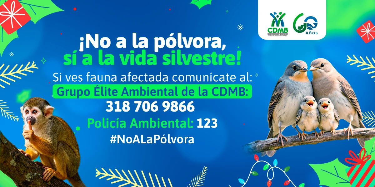 ¡NO A LA PÓLVORA, SÍ A LA VIDA SILVESTRE!
